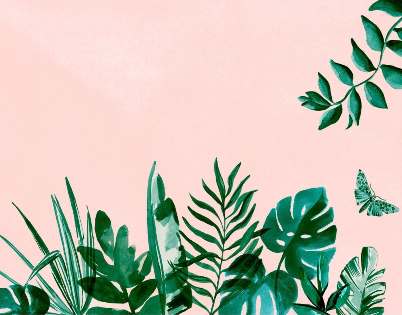 Plants: The Most Underrated Members Of Your Household