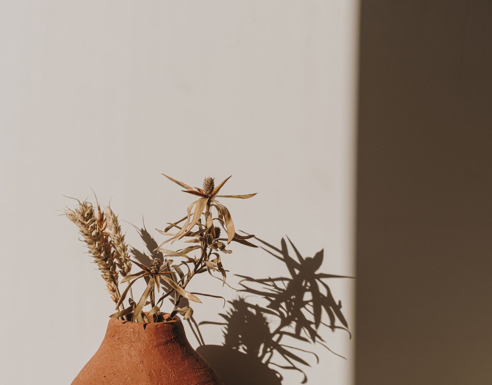 10 Virgo Habits to Adopt For A Lifetime Of Success