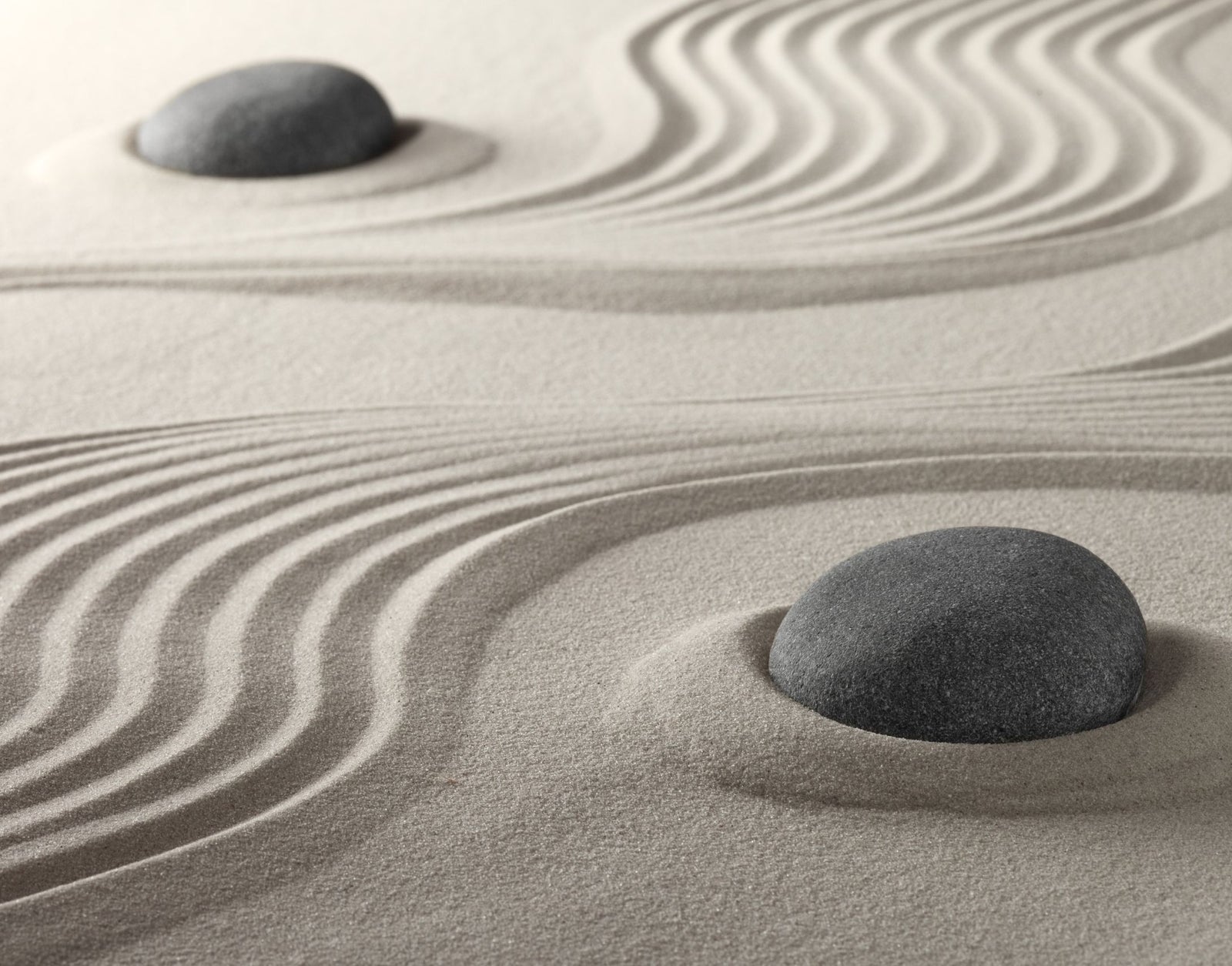 A Beginner's Guide to Manifesting for Libra Season