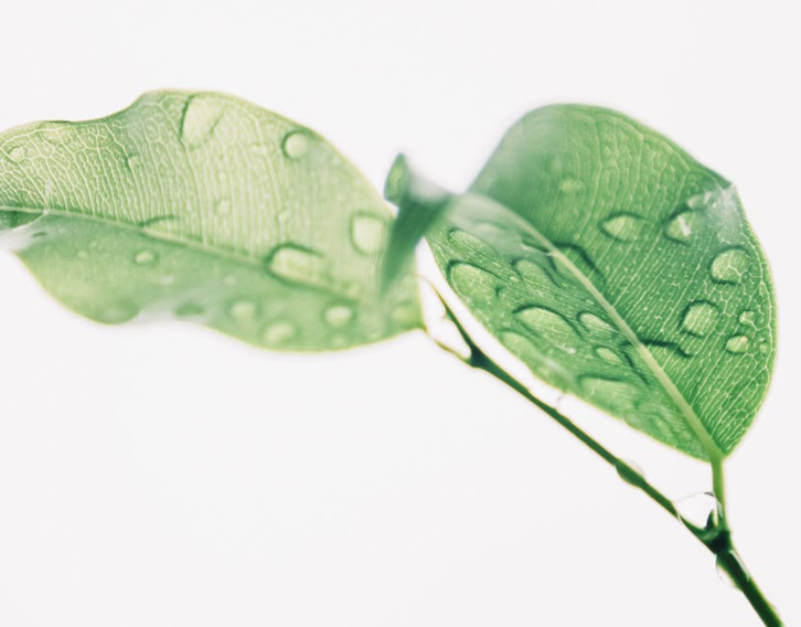 5 Clean Beauty Trend Predictions for 2021 