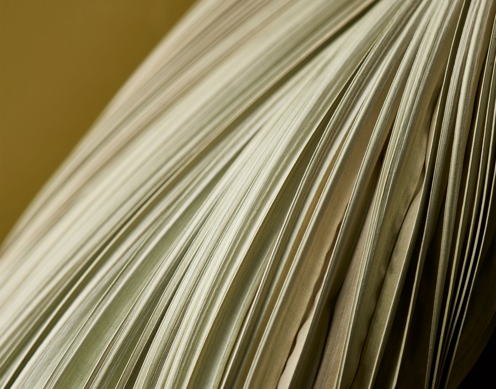 10 Habits for Maintaining a Mellow Mindset this Taurus season