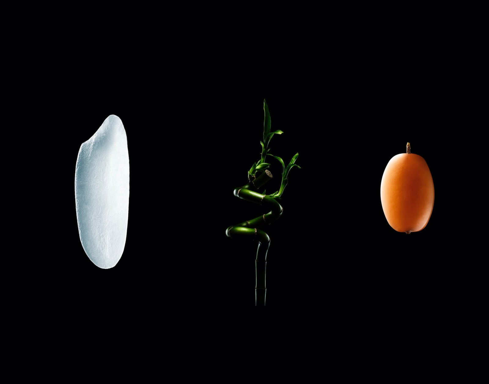 Ingredients Feature: Rooted In Asia