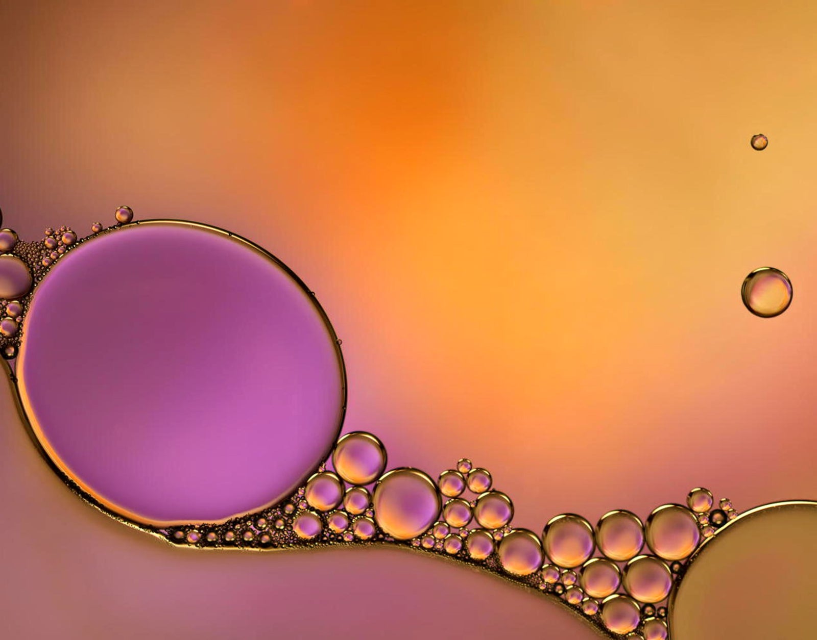 What is Oil Cleansing, and Does It Really Work?