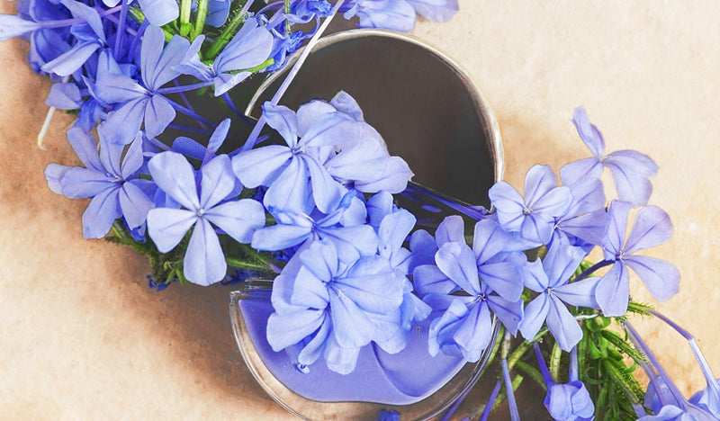 Emma Periwinkle nail polish product shot. Long wearing, 10 free, non-toxic nail polish.