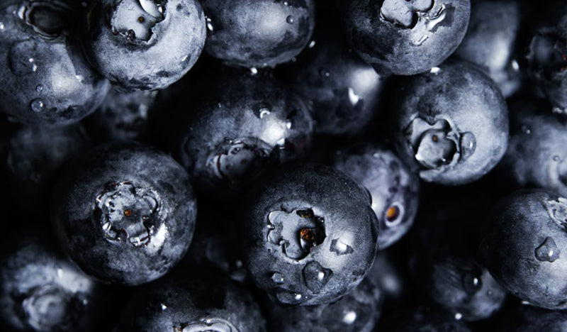 Emilie Heathe Lip R&R star ingredient